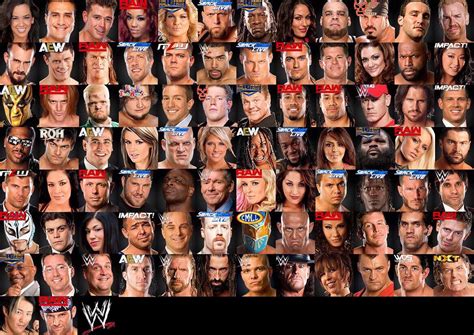 2011 wwe|wwe 2011 roster.